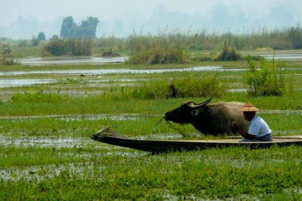 Indein Village, Inle Lake, Travel Guide
