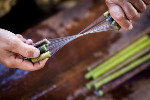 lotus fabric, Inle Lake, Myanmar