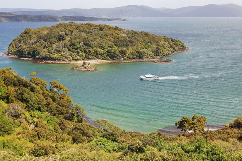 Steward Island