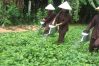 vietnam best sights