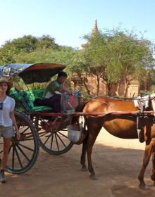 Bagan Horse Cart Ride